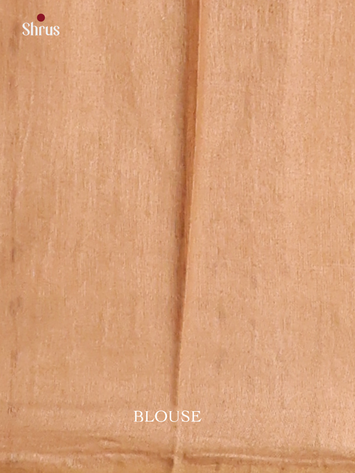 Beige - Semi Tussar Saree - Shop on Shrus.com