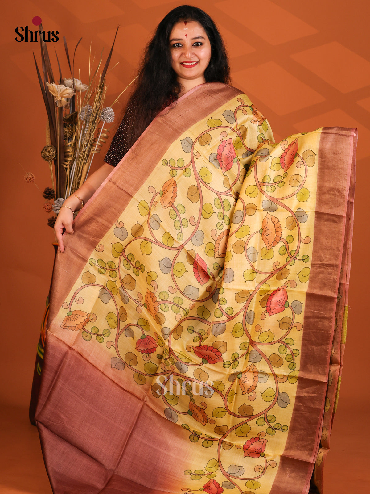 Brown & Cream- Tussar Saree - Shop on Shrus.com