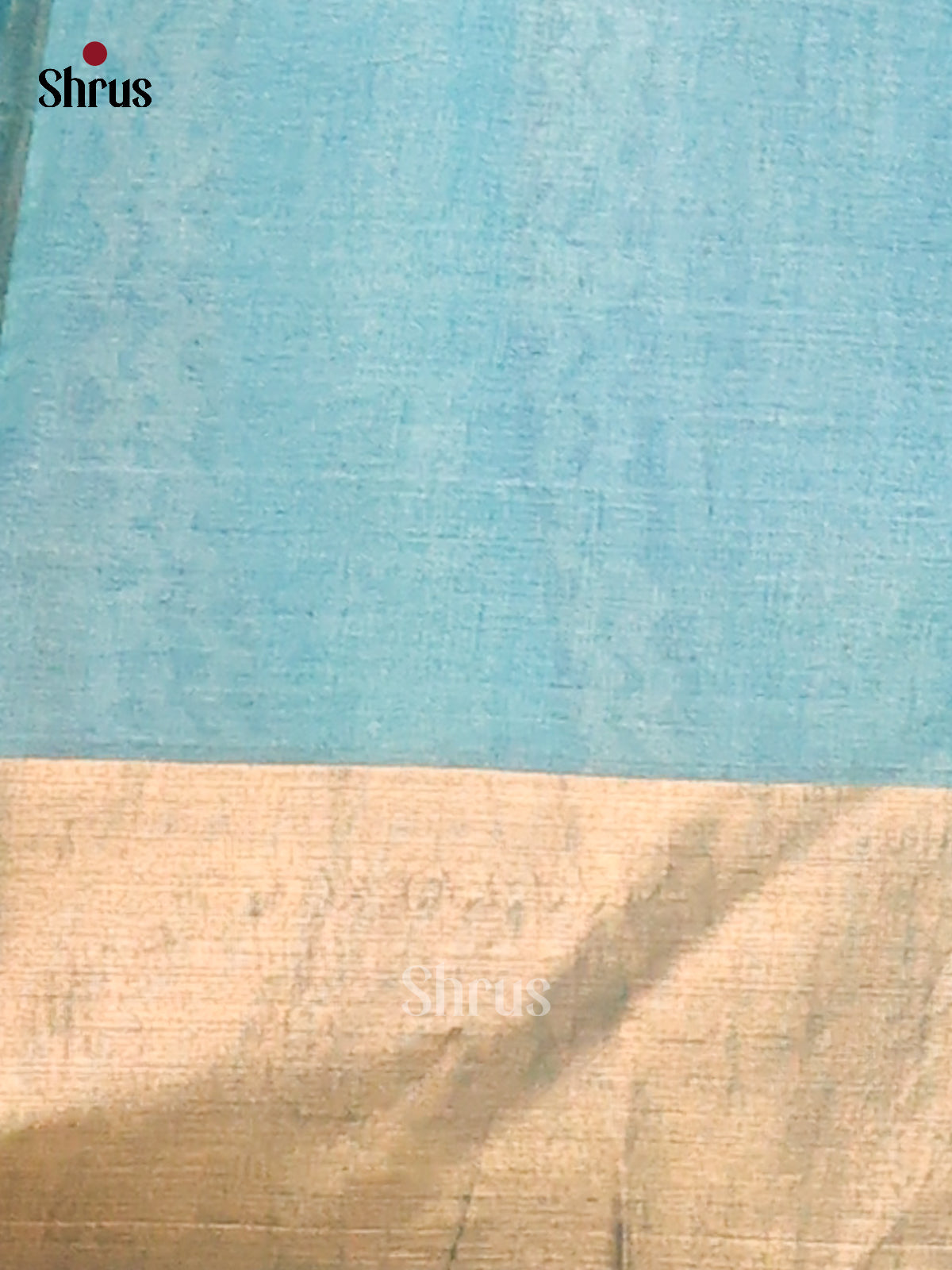 Cream & Blue- Tussar Saree - Shop on Shrus.com