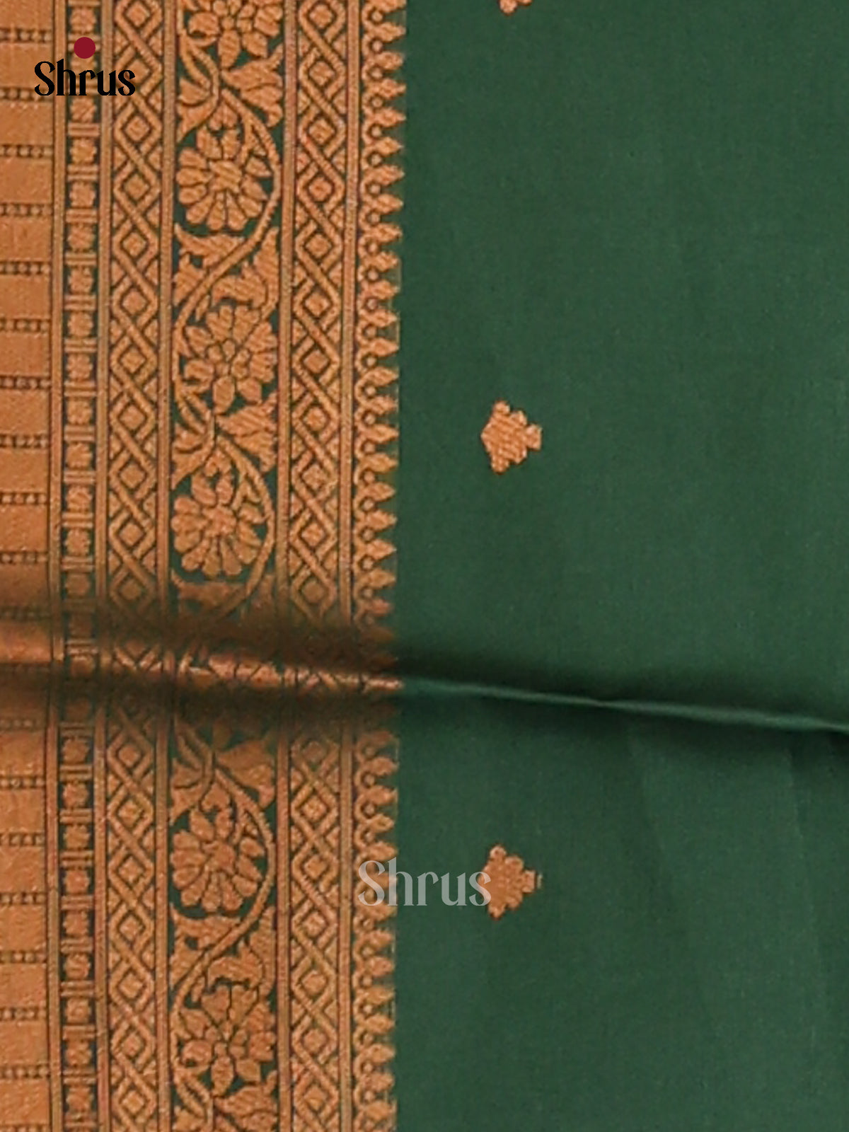 Pastel Green & Green- Semi Softsilk Saree - Shop on Shrus.com
