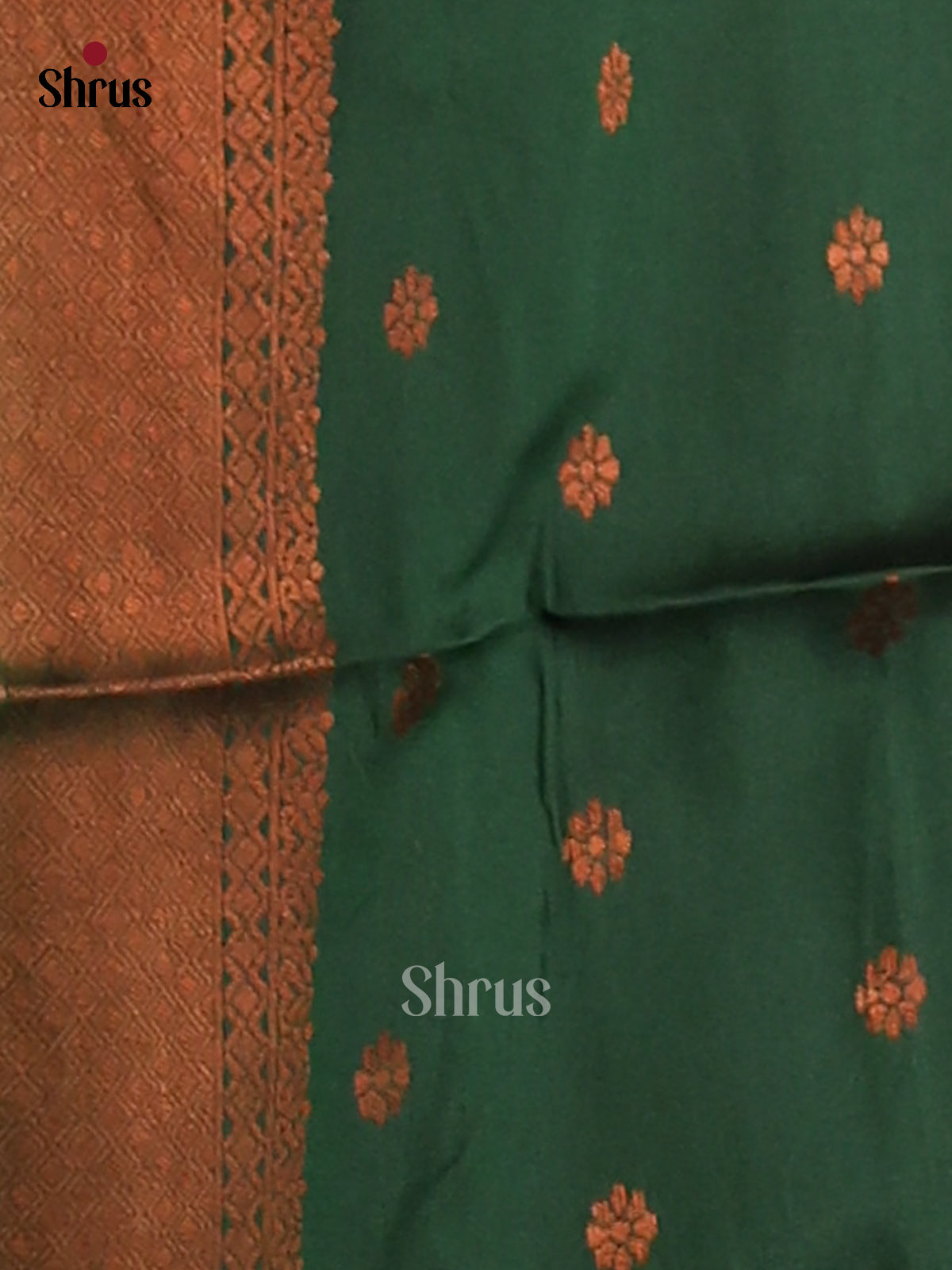 Mustardy Green & Green - Semi Softsilk Saree - Shop on Shrus.com