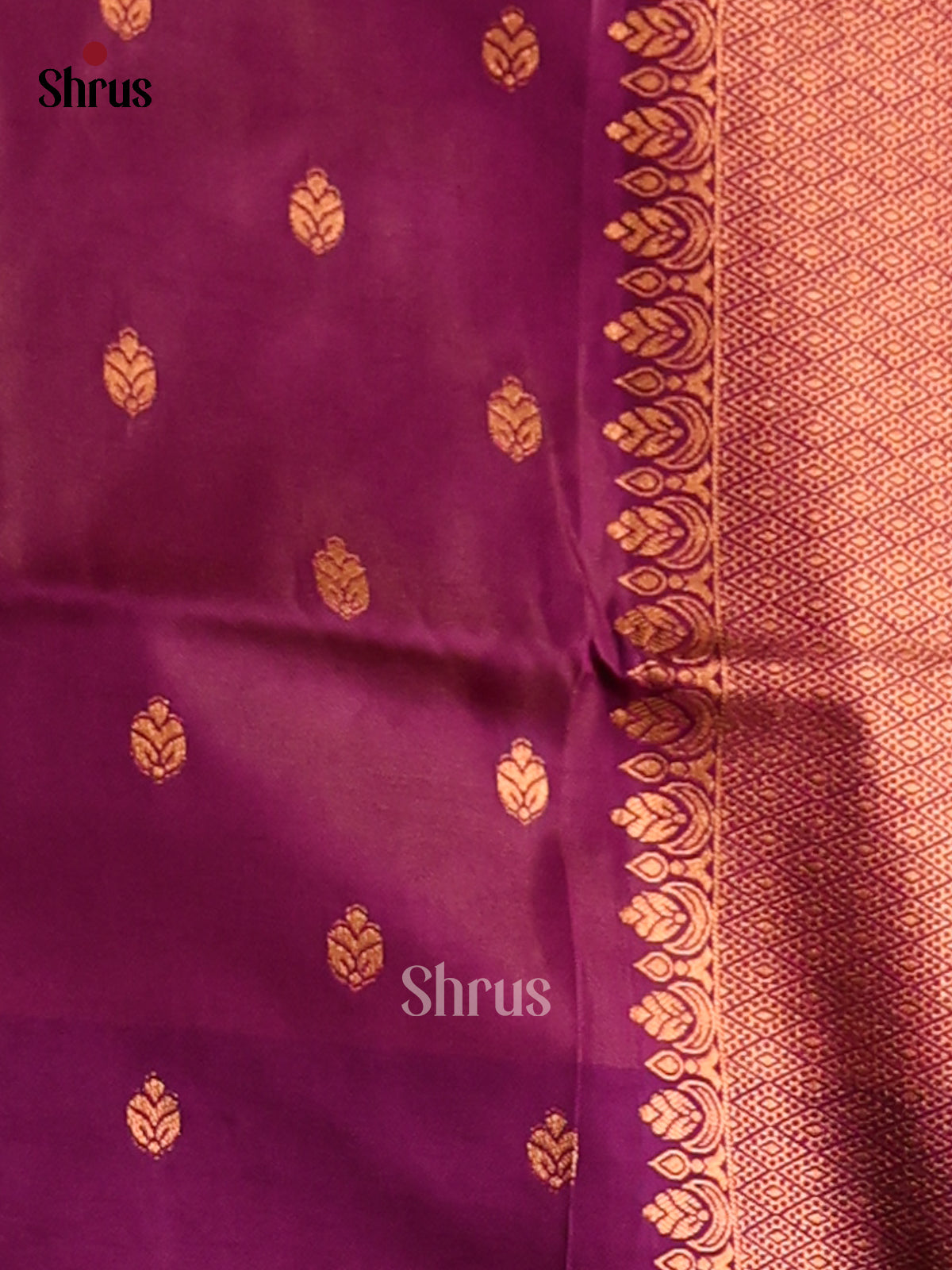 Orangish Pink & Violet- Semi Softsilk Saree - Shop on Shrus.com