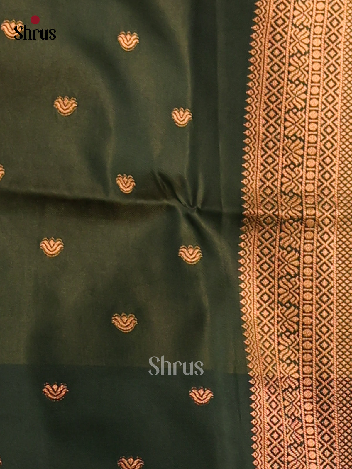 Light Green & Green- Semi Softsilk Saree - Shop on Shrus.com