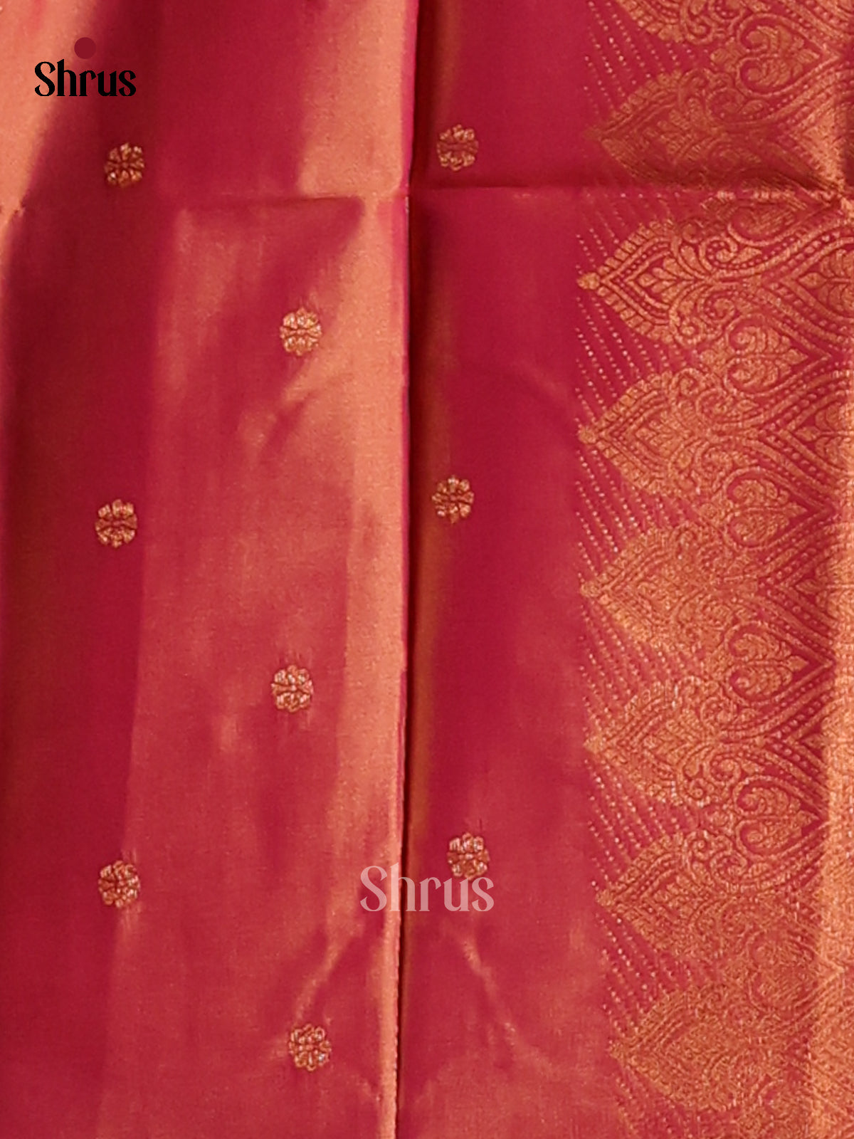 Green & Orange  - Semi Softsilk Saree - Shop on Shrus.com