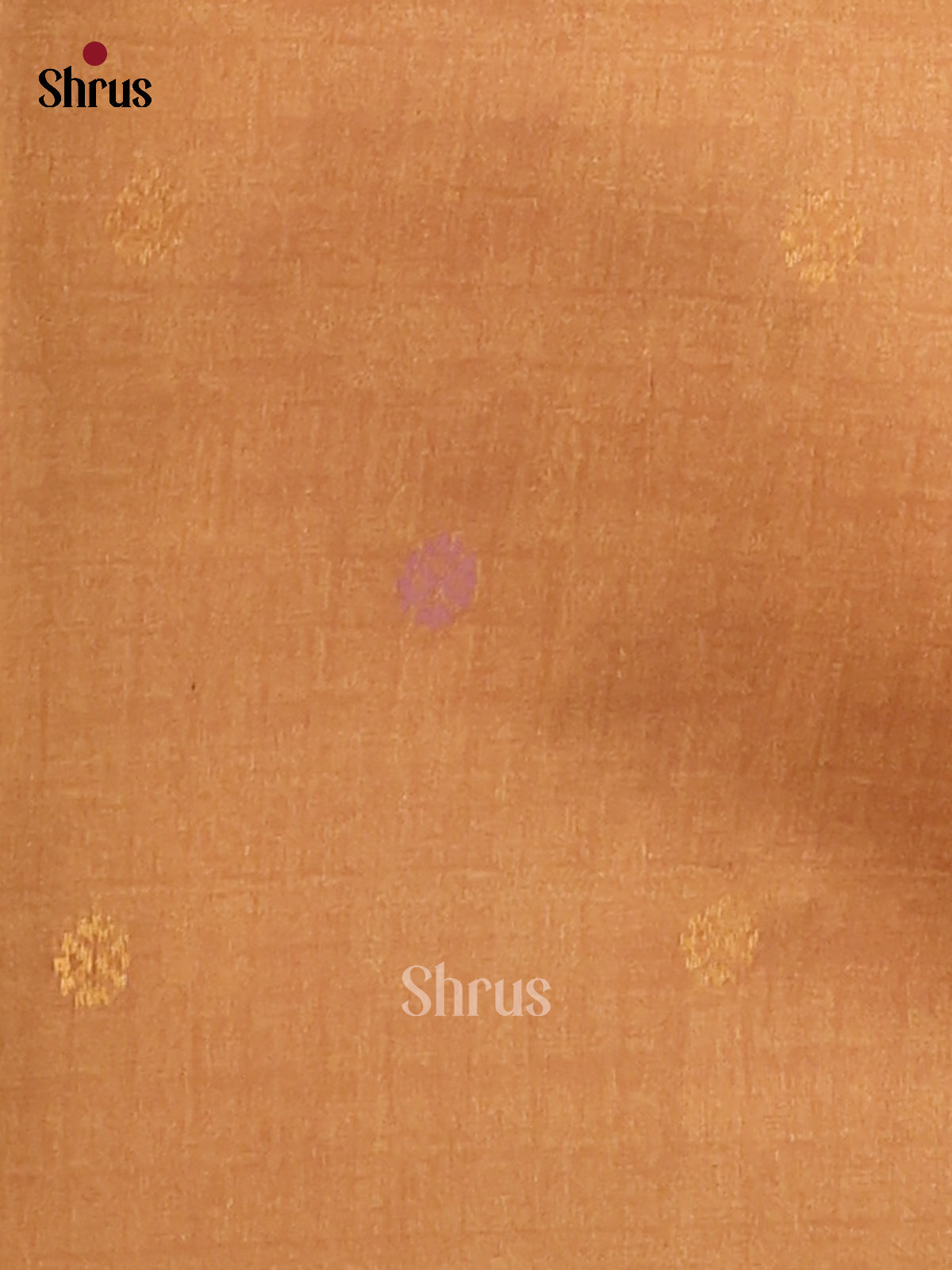 Cream  & Brown - Semi Tussar Saree - Shop on Shrus.com