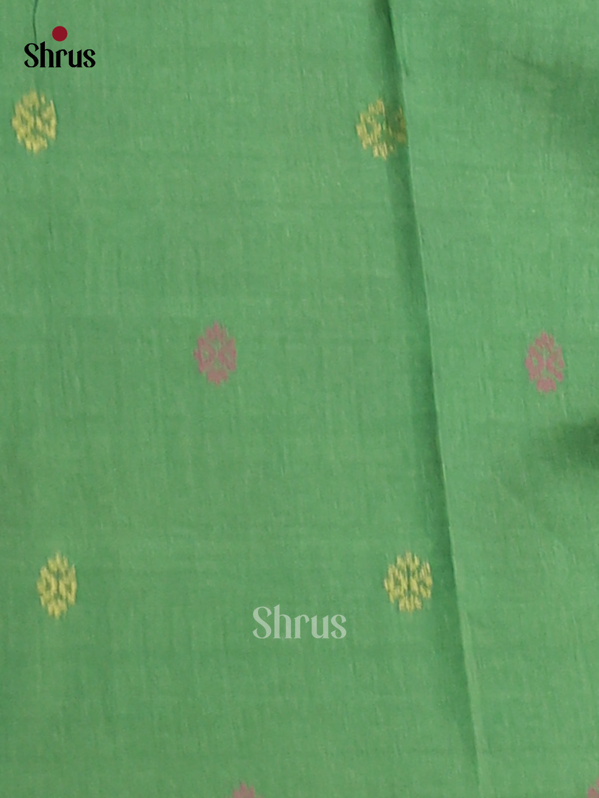 Cream & Green - Semi Tussar Saree - Shop on Shrus.com
