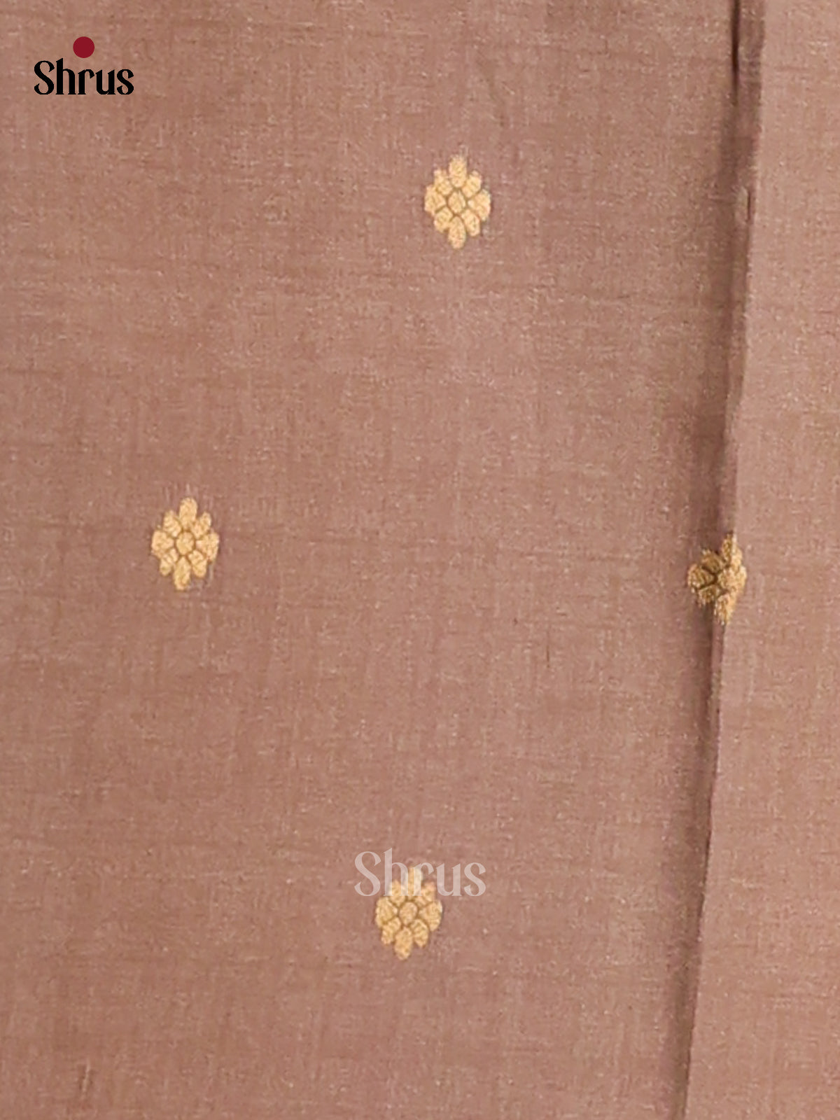 DFS03255 - Shop on Shrus.com