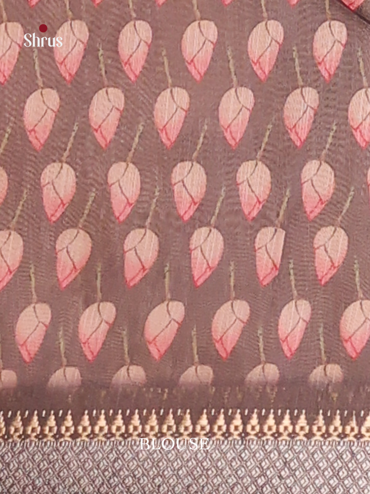 Cream & Grey - Champa semitussar Saree - Shop on Shrus.com