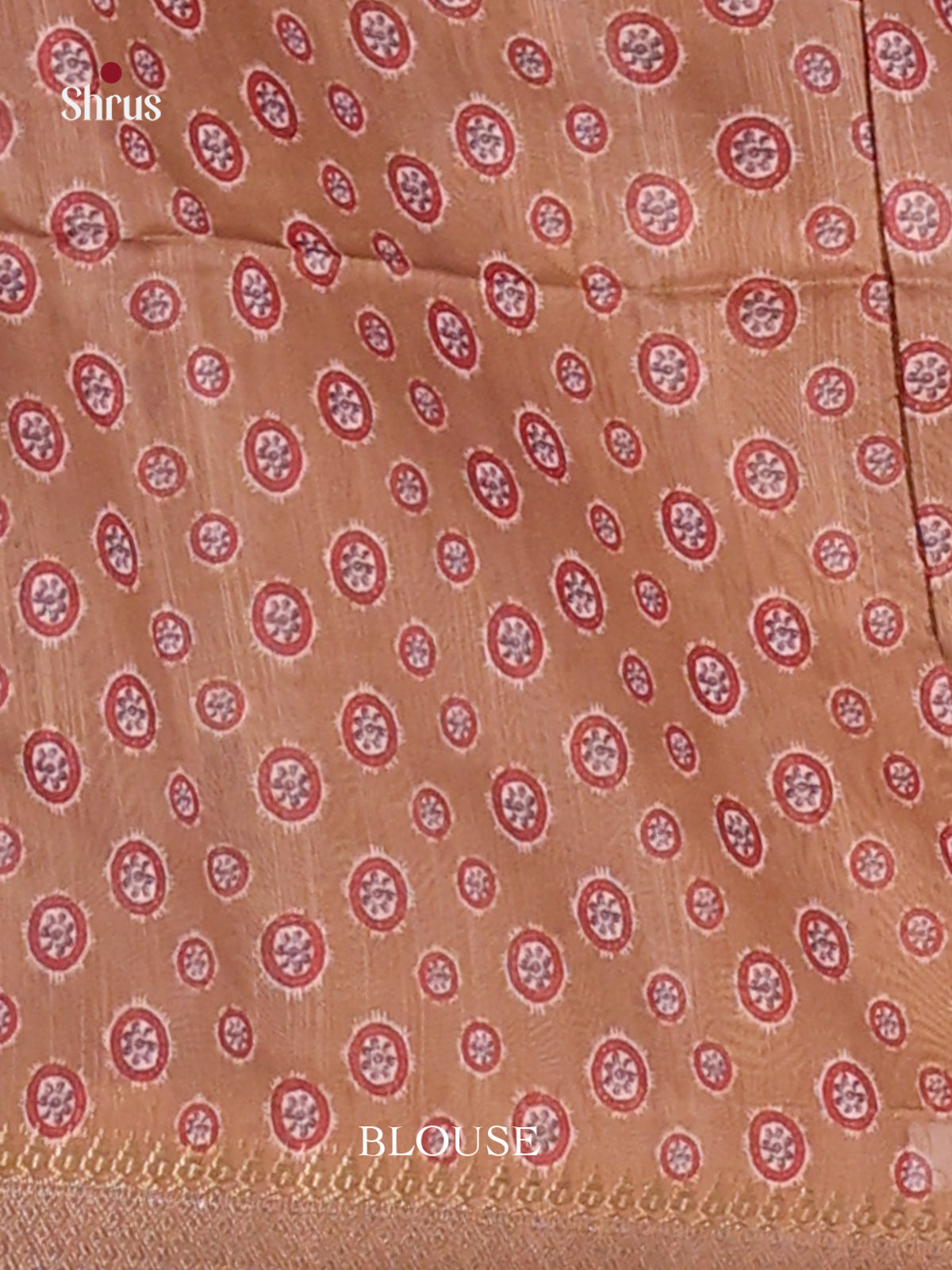 Cream & Brown - Champa semitussar Saree - Shop on Shrus.com