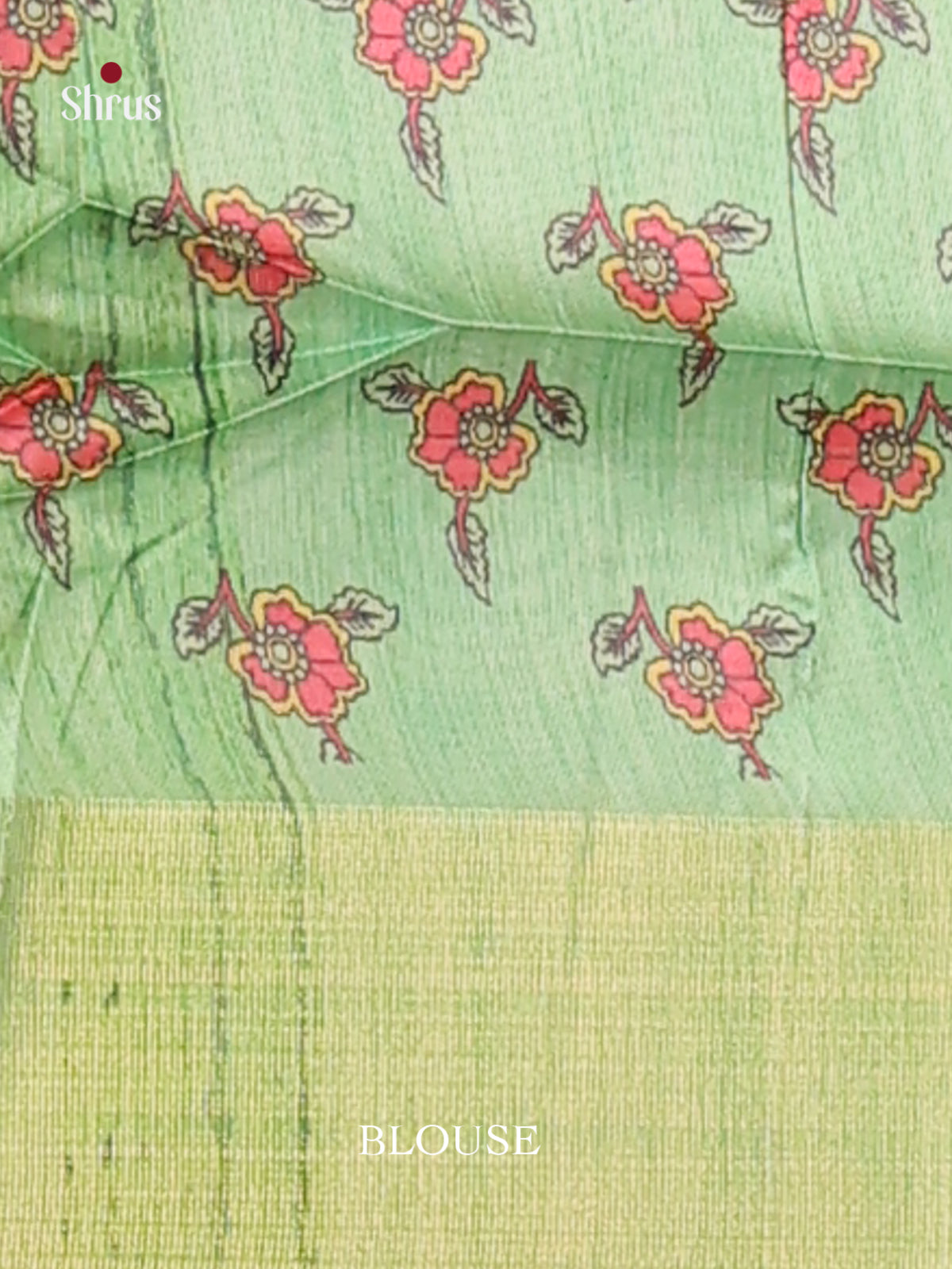 Cream & Pista Green - Champa semitussar Saree - Shop on Shrus.com