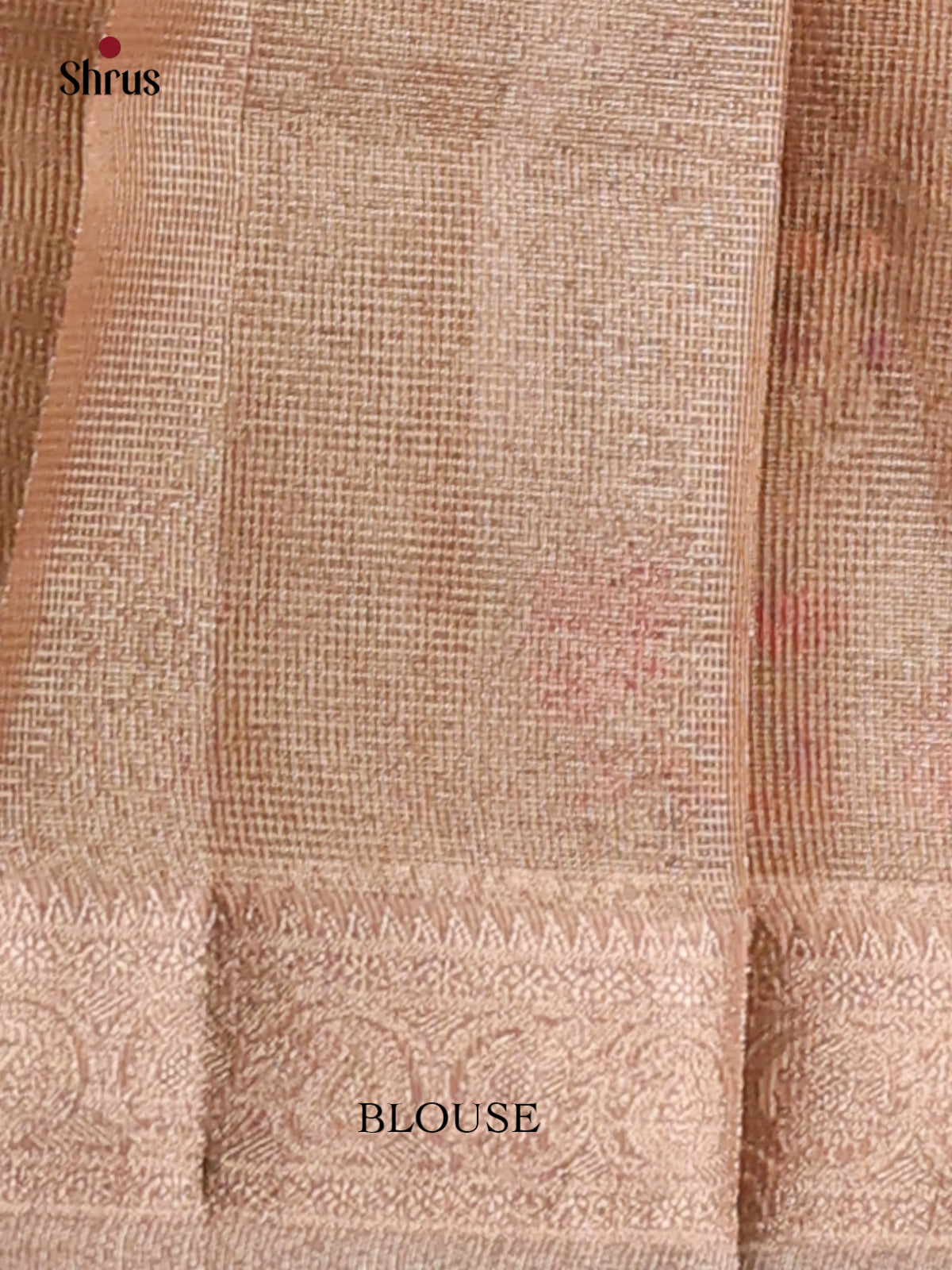 Dusty Brown - Semi Tissue Saree - Shop on Shrus.com