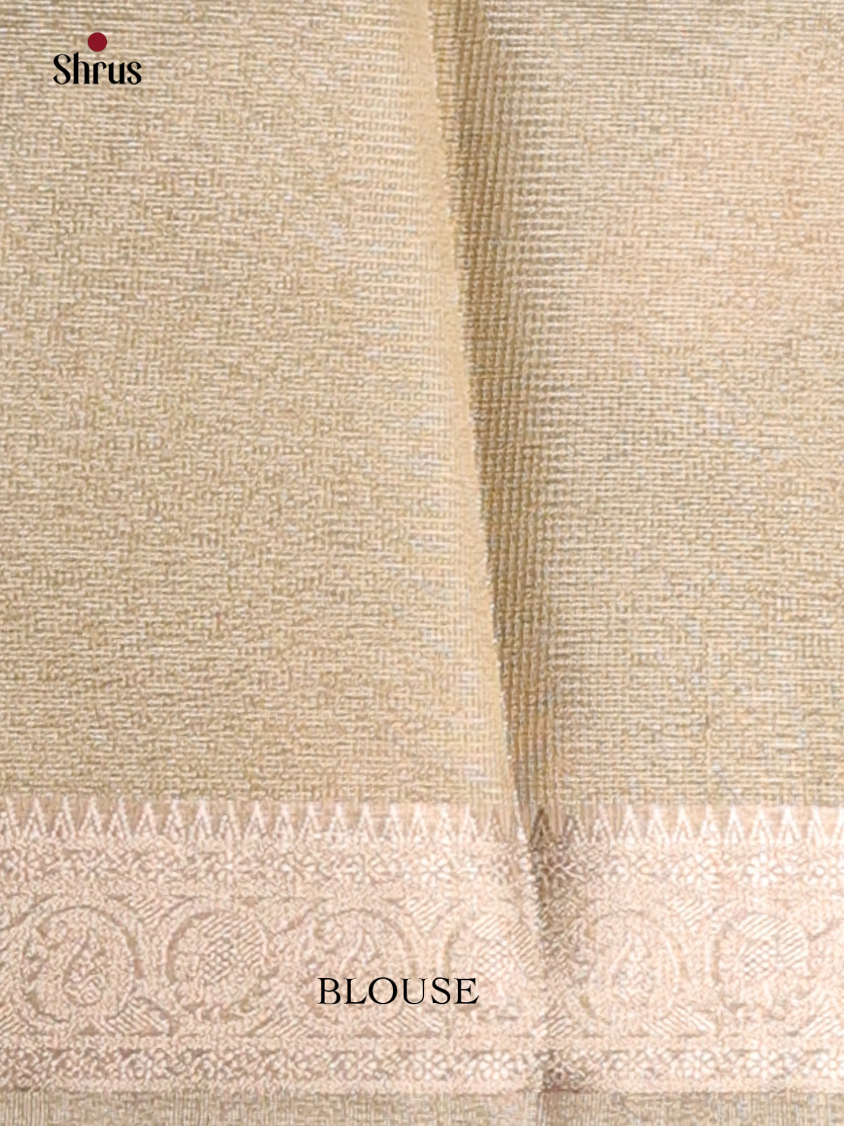 Cream - Semi Tissue Saree - Shop on Shrus.com