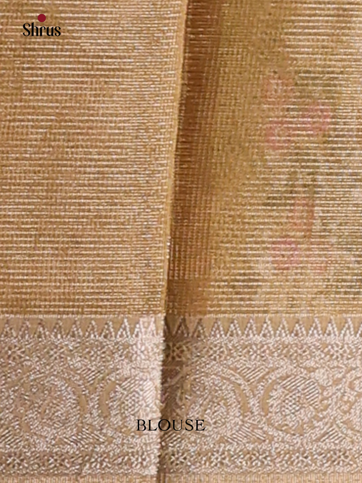 Cream - Semi Tissue Saree - Shop on Shrus.com
