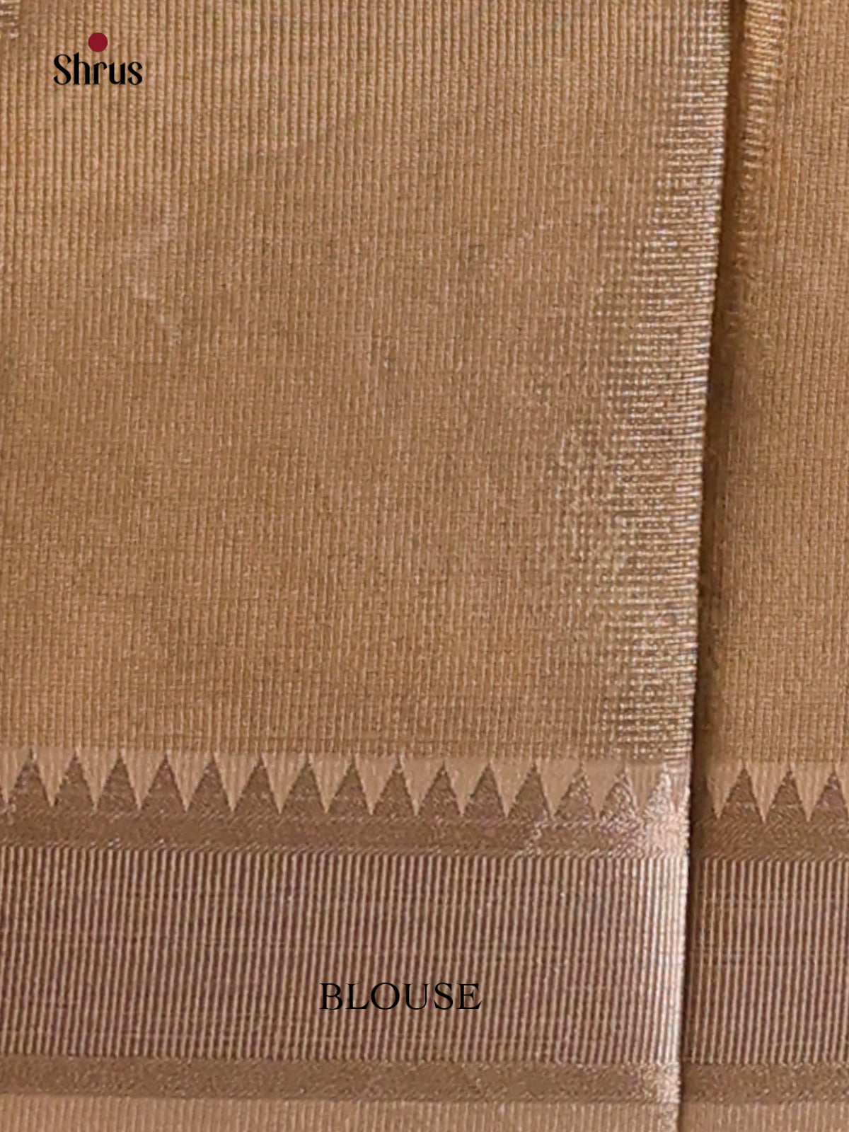 Dull Gold - Semi Tissue Saree - Shop on Shrus.com