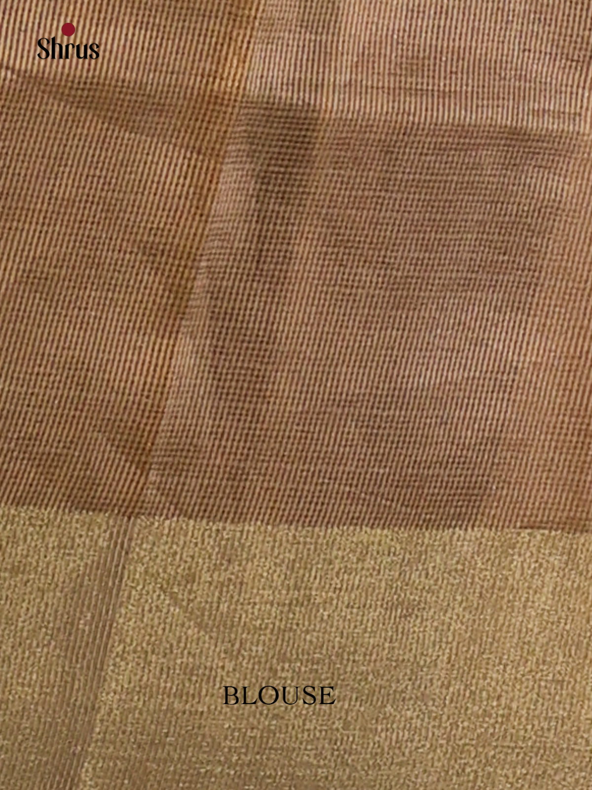 Cream - Semi Tissue Saree - Shop on Shrus.com