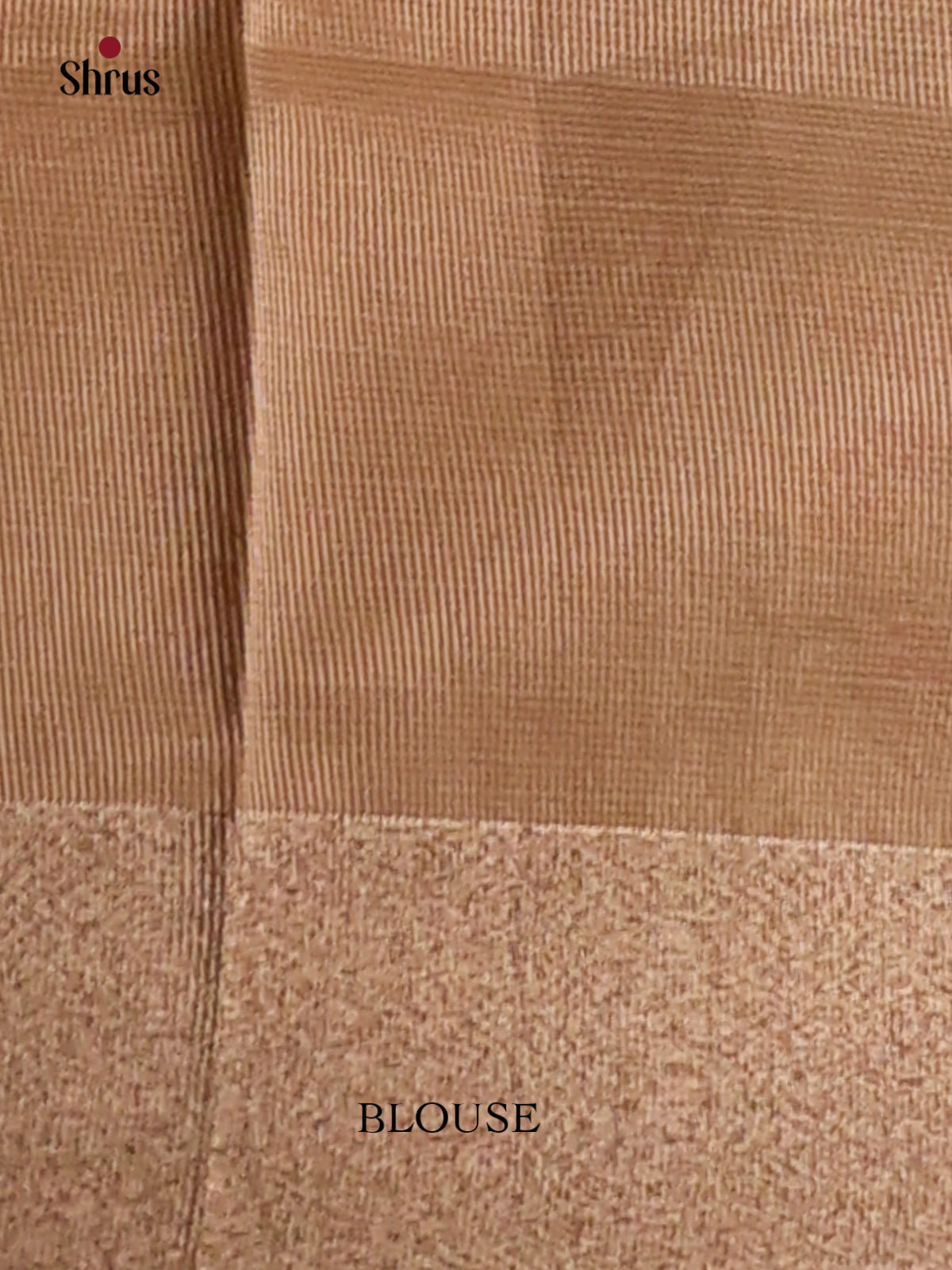 Cream - Semi Tissue Saree - Shop on Shrus.com