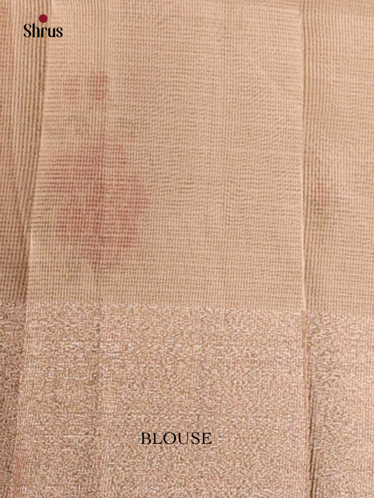 Cream - Semi Tissue Saree - Shop on Shrus.com