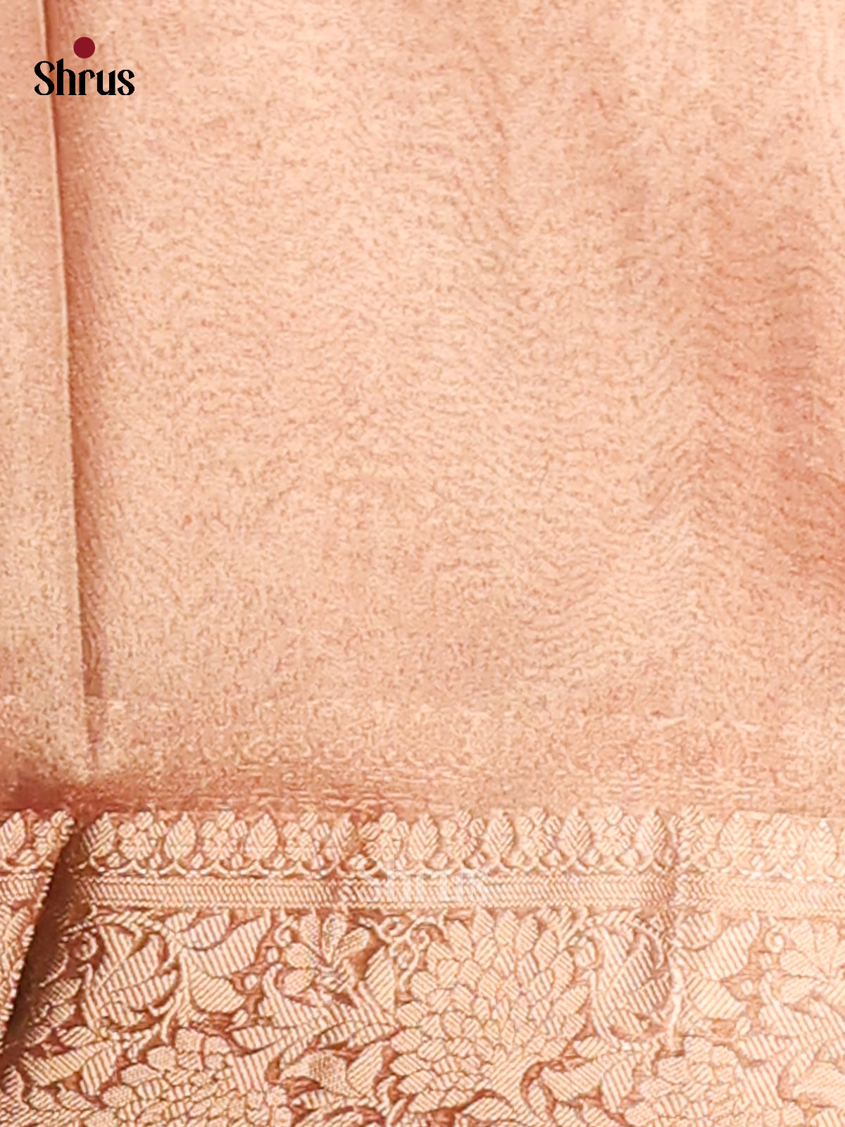 Blush Pink - Semi Tissue saree - Shop on Shrus.com