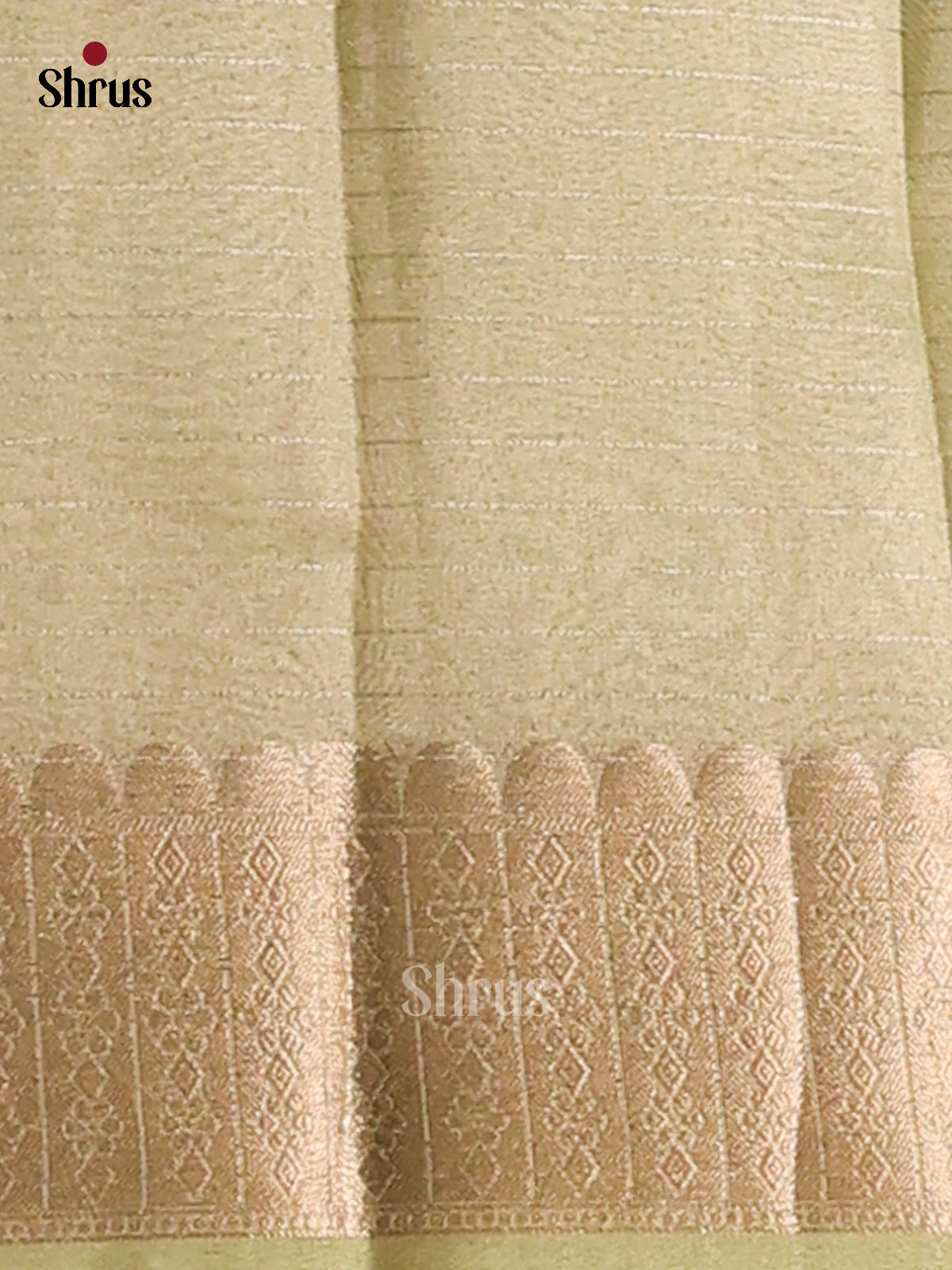 Apple Green - Semi Tissue saree - Shop on Shrus.com