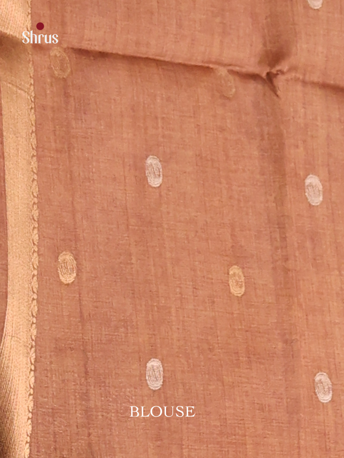 Gold & Brown - Semi Tussar Saree - Shop on Shrus.com