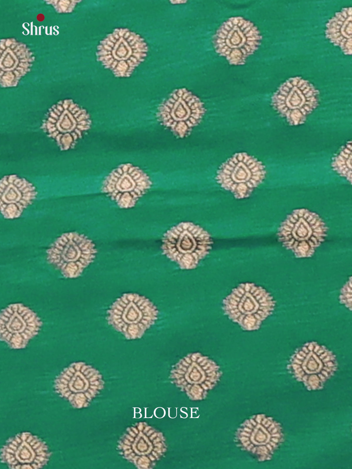 Green - Semi Softsilk Saree - Shop on Shrus.com