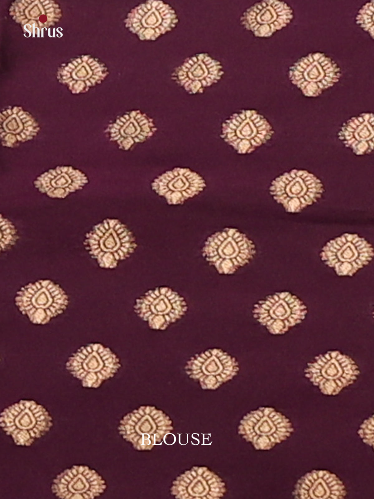 Jamun - Semi Softsilk Saree - Shop on Shrus.com