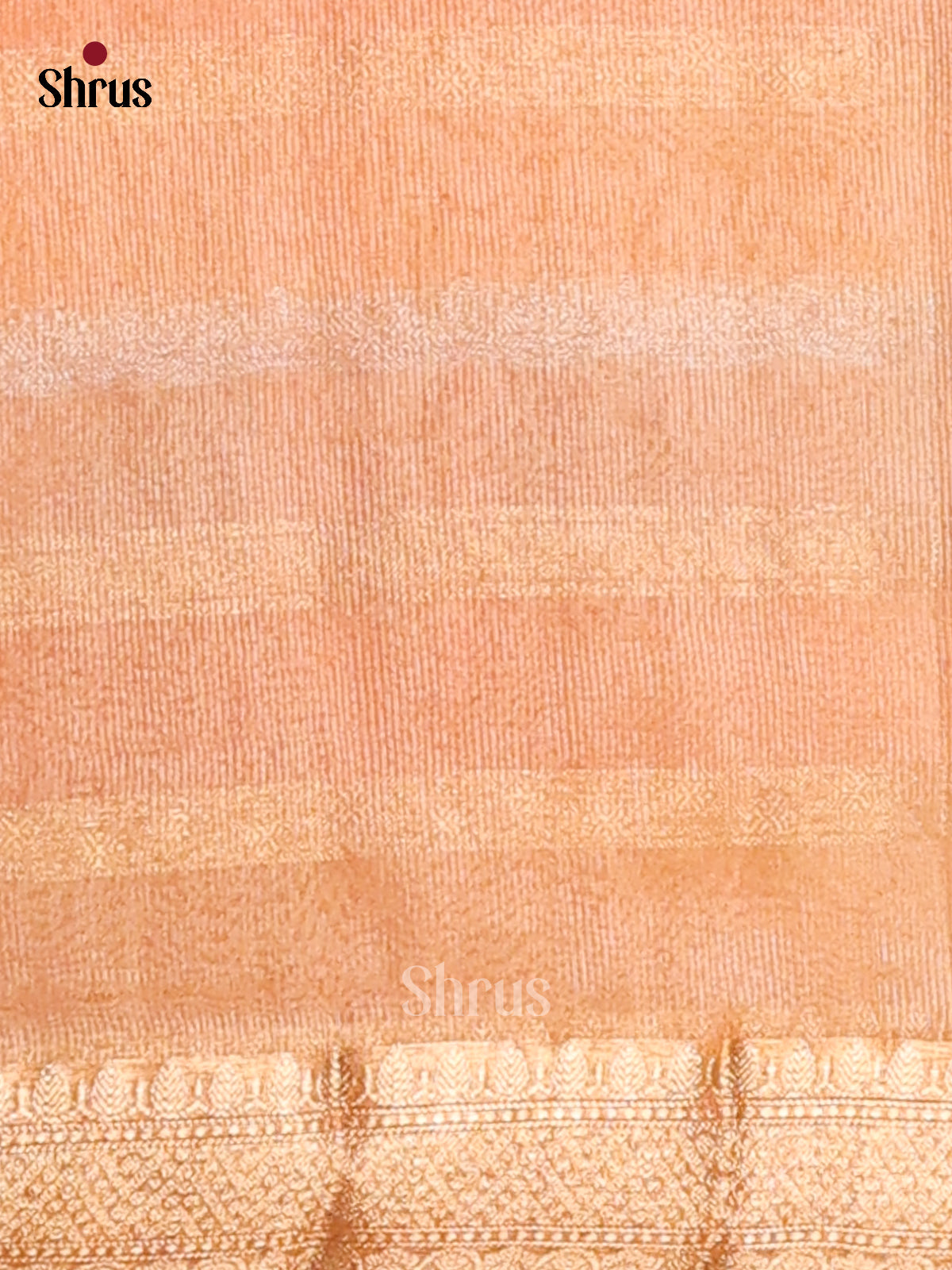 Brick & Green- North Silk Cotton Saree - Shop on Shrus.com