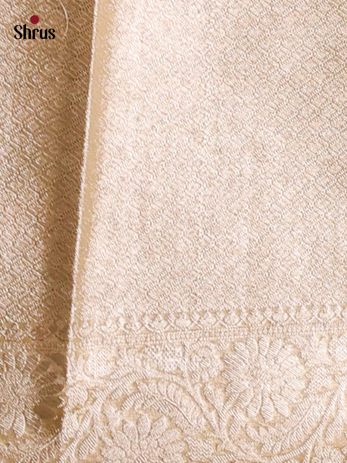 Pastel Green  - North Silk Cotton Saree - Shop on Shrus.com