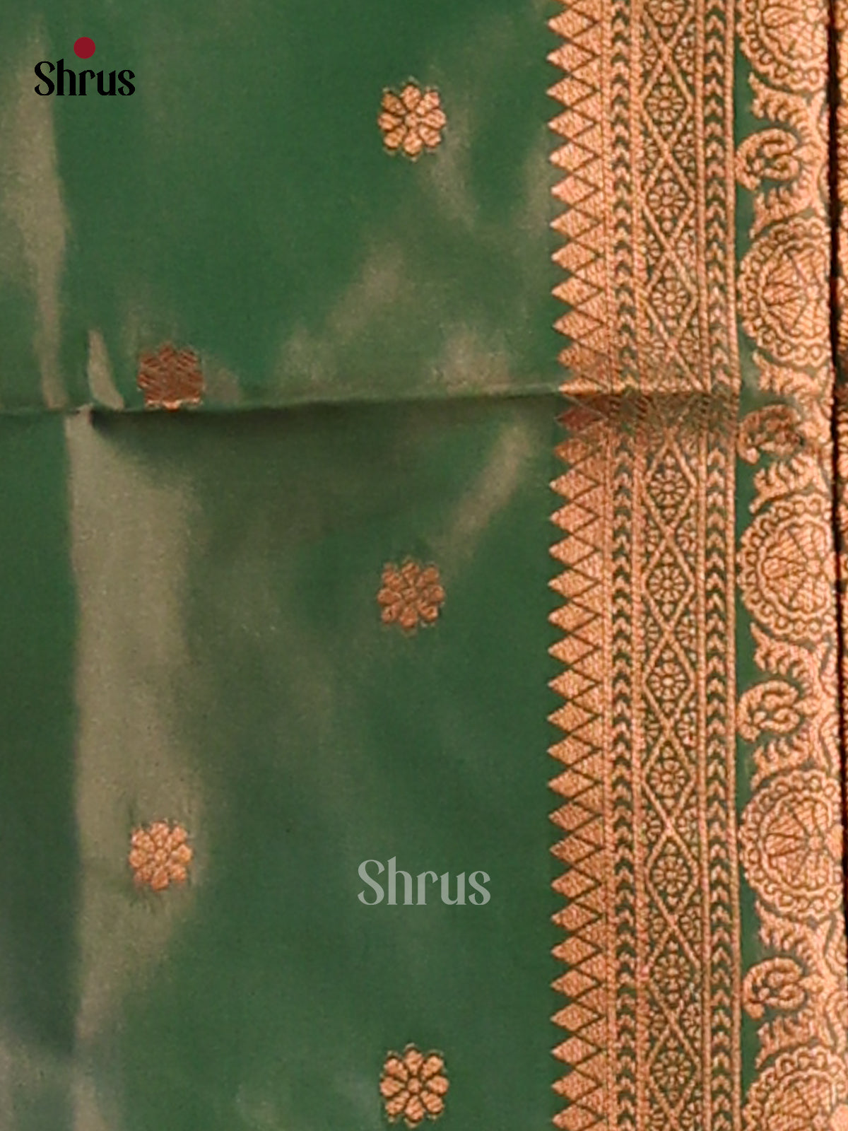Green - Semi Softsilk Saree - Shop on Shrus.com