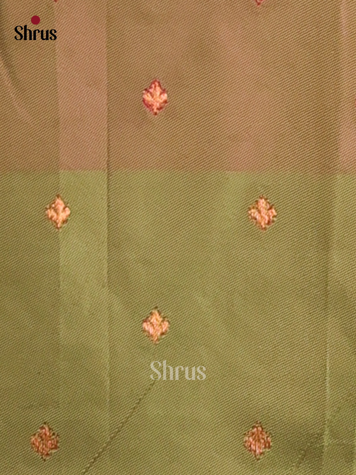 Pink & Green- Semi Softsilk Saree - Shop on Shrus.com