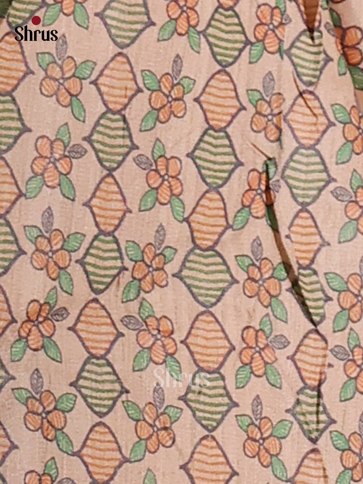 Beige & Cream- Printed Madhubani Saree - Shop on Shrus.com