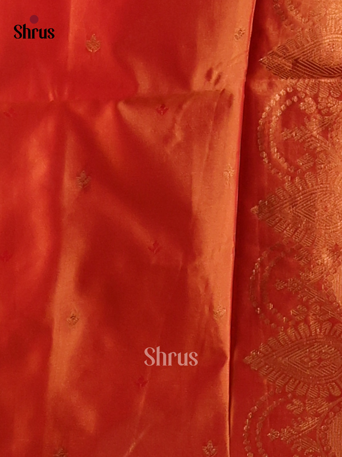 Light Green & Orange- Semi Softsilk Saree - Shop on Shrus.com