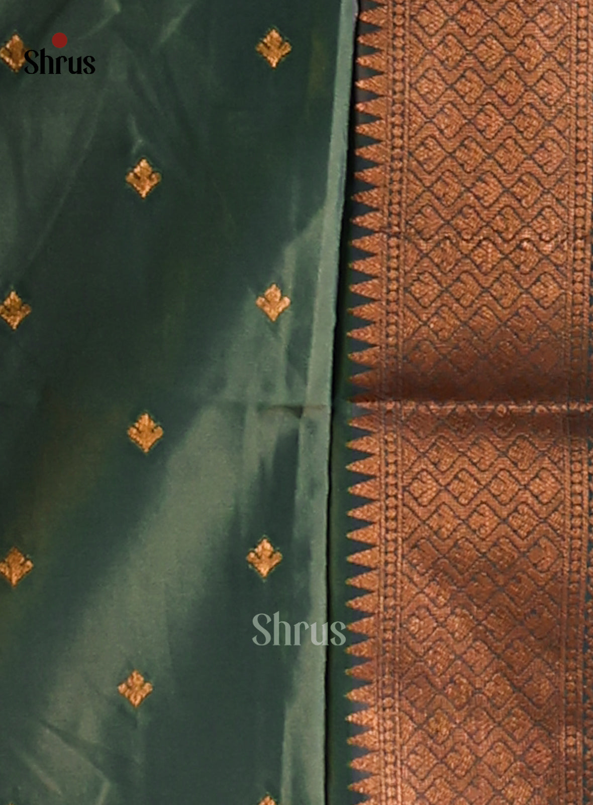 Double Shaded Green - Semi Softsilk Saree - Shop on Shrus.com