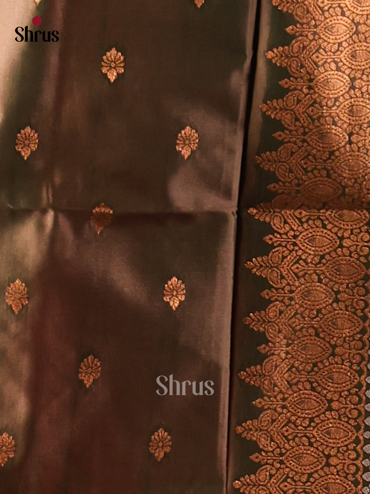 Double Shaded  brownish Green - Semi Softsilk Saree - Shop on Shrus.com