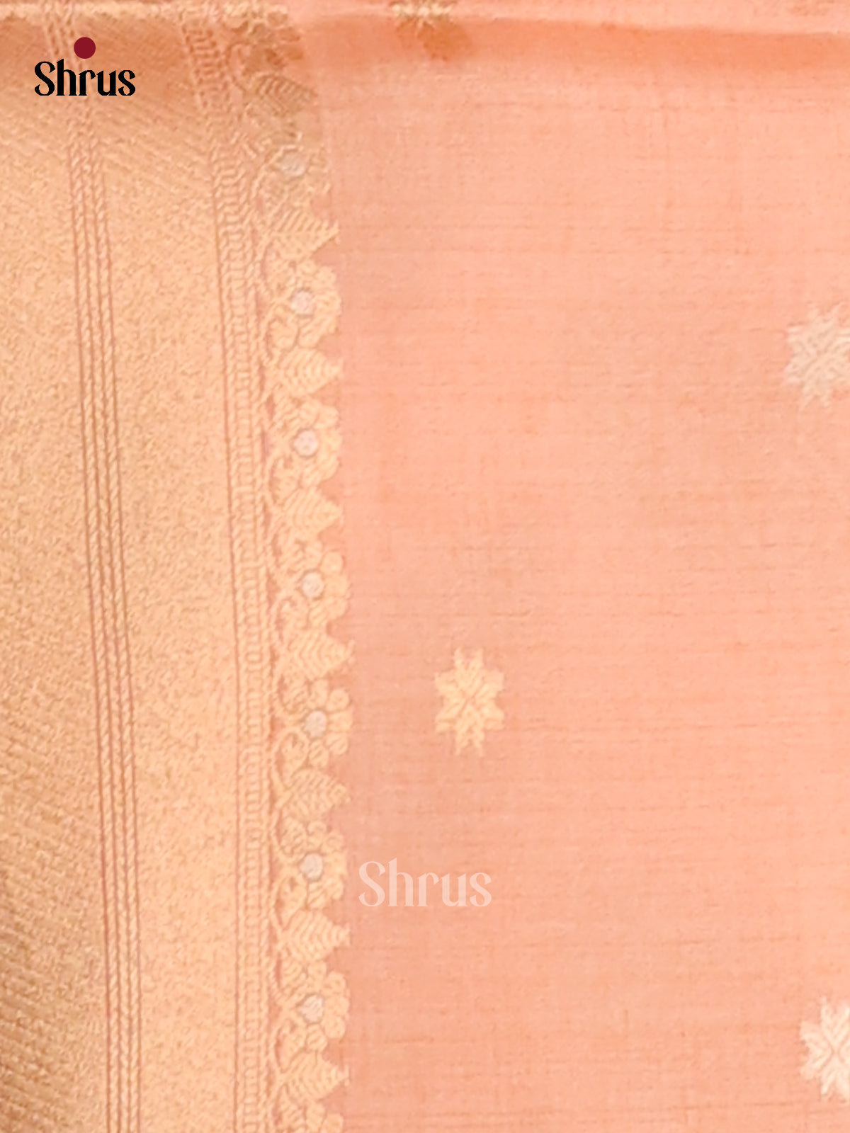 Chikoo & Peach - Semi Tussar Saree - Shop on Shrus.com