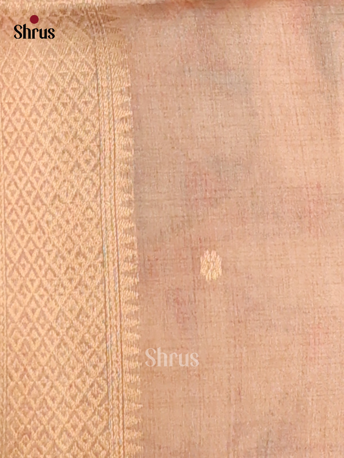 Light Brown - Semi Tussar Saree - Shop on Shrus.com