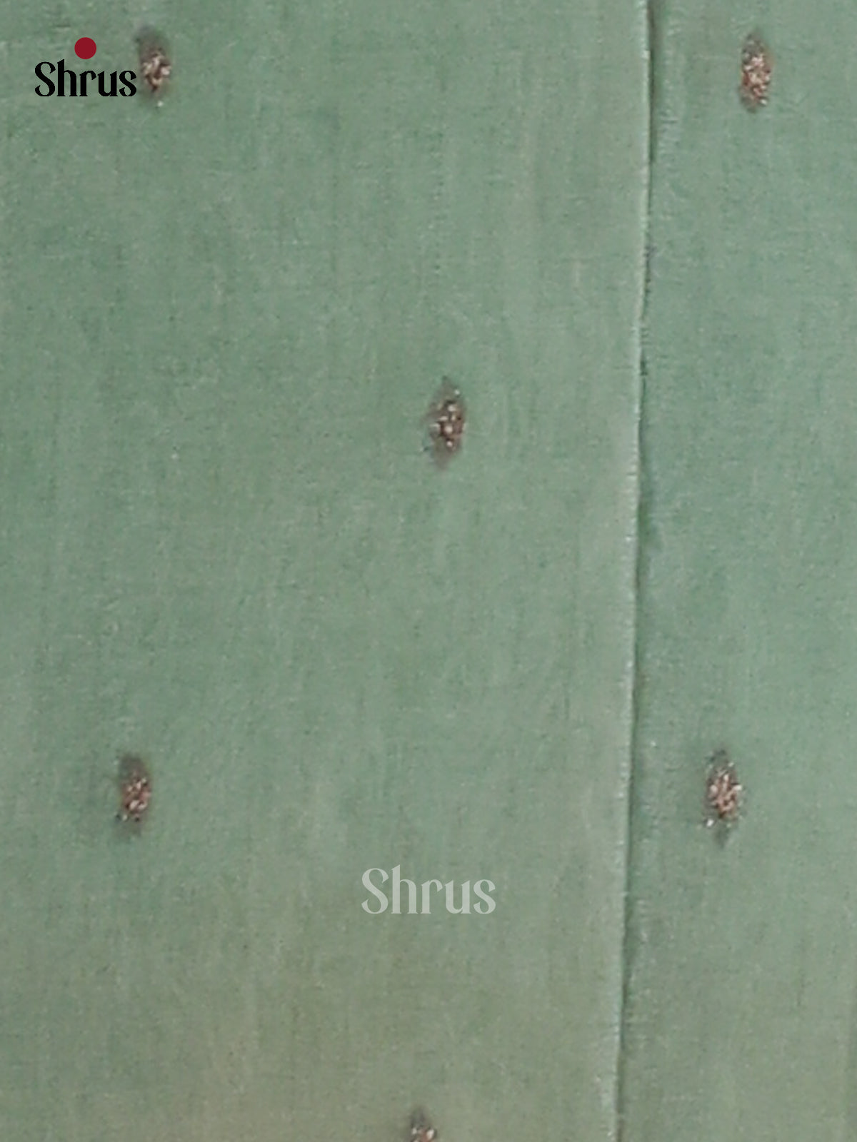 Pastel Green(Single Tone)- Semi Georgette Saree - Shop on Shrus.com