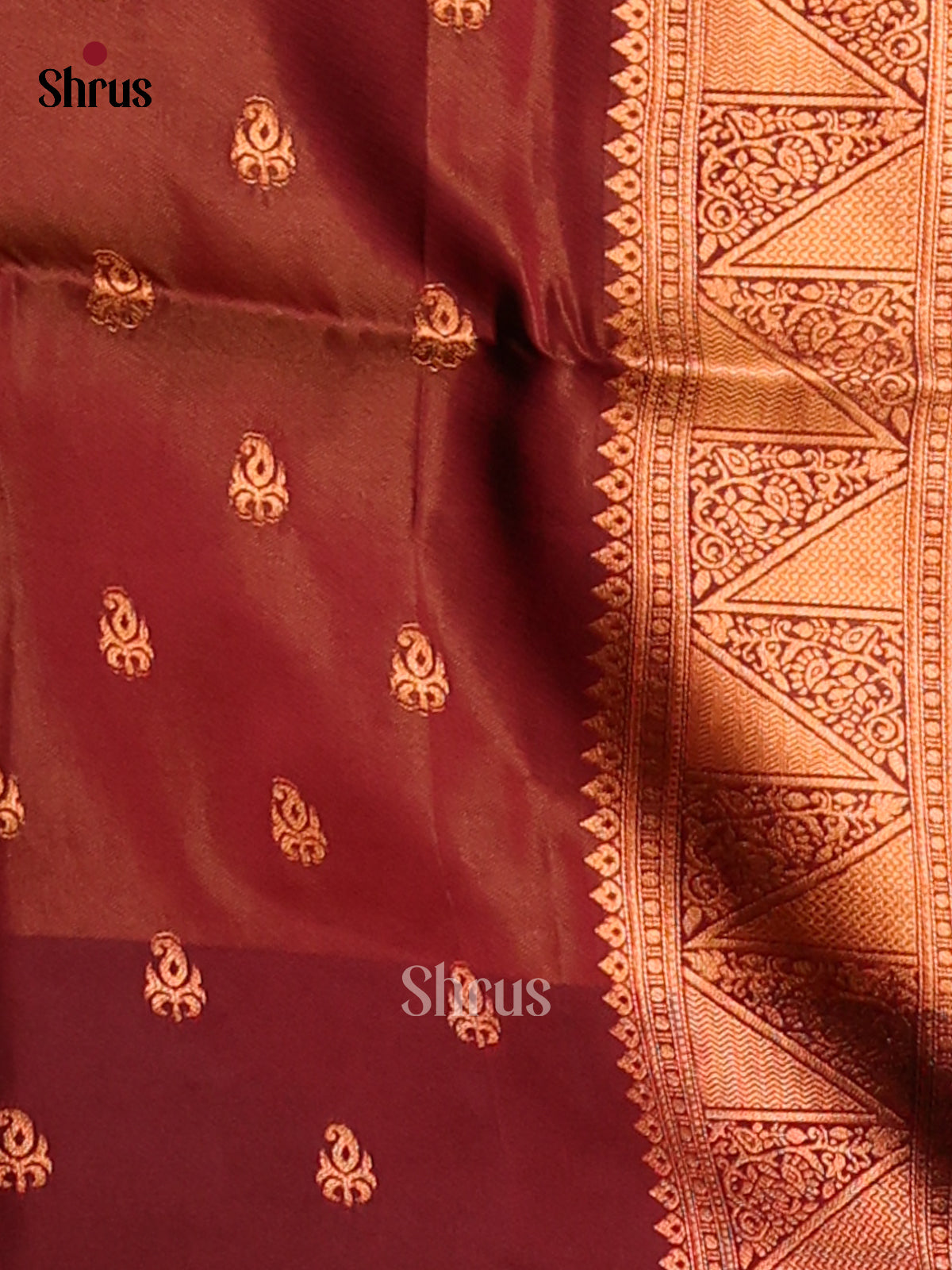 Orange & Brown - Semi Softsilk Saree - Shop on Shrus.com