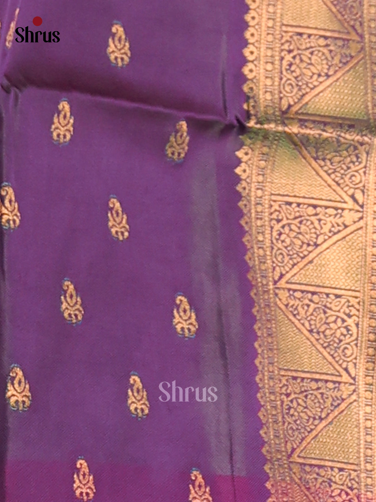 Green & Purple - Semi Softsilk Saree - Shop on Shrus.com