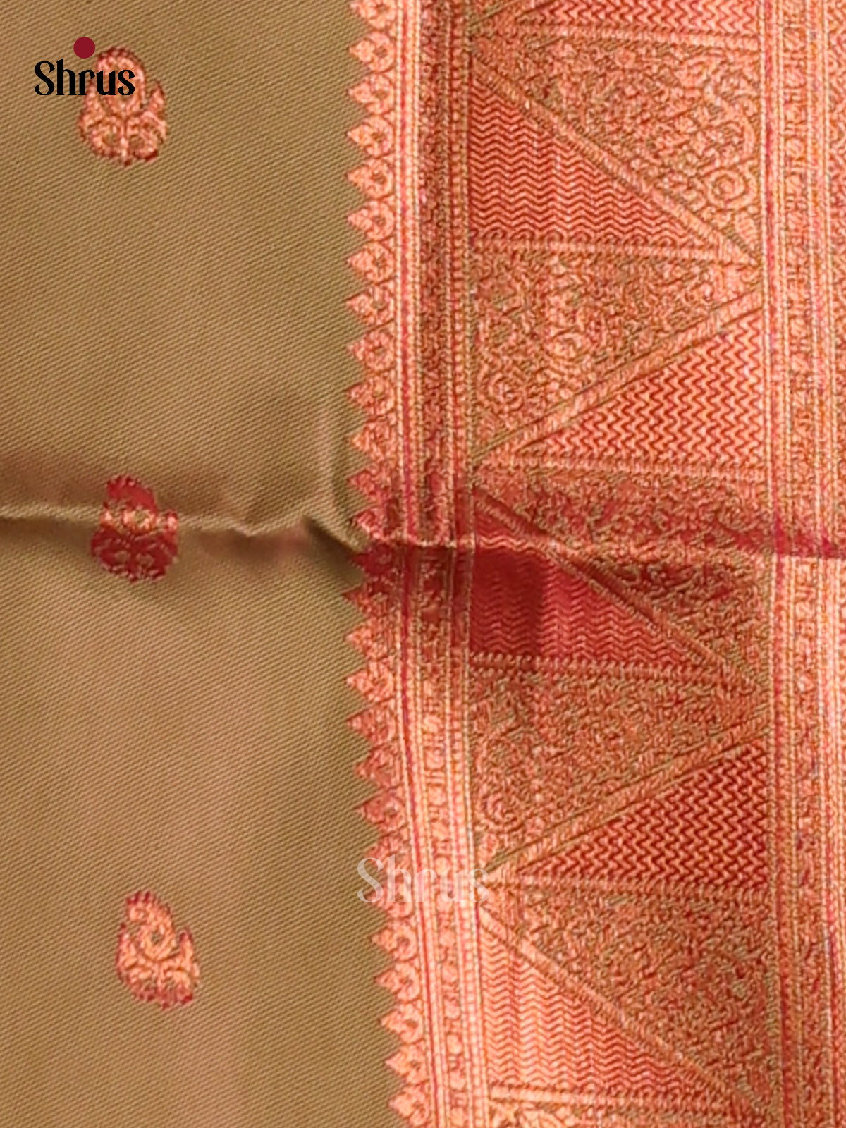 Pink & Green - Semi Softsilk Saree - Shop on Shrus.com