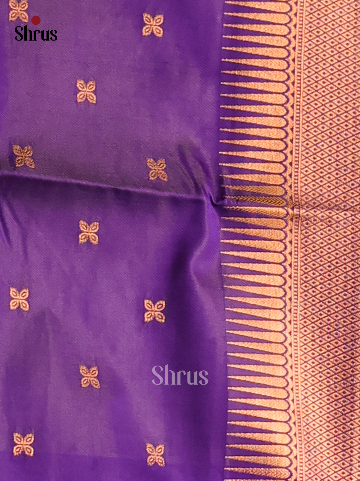 Purple & Violet - Semi Softsilk Saree - Shop on Shrus.com