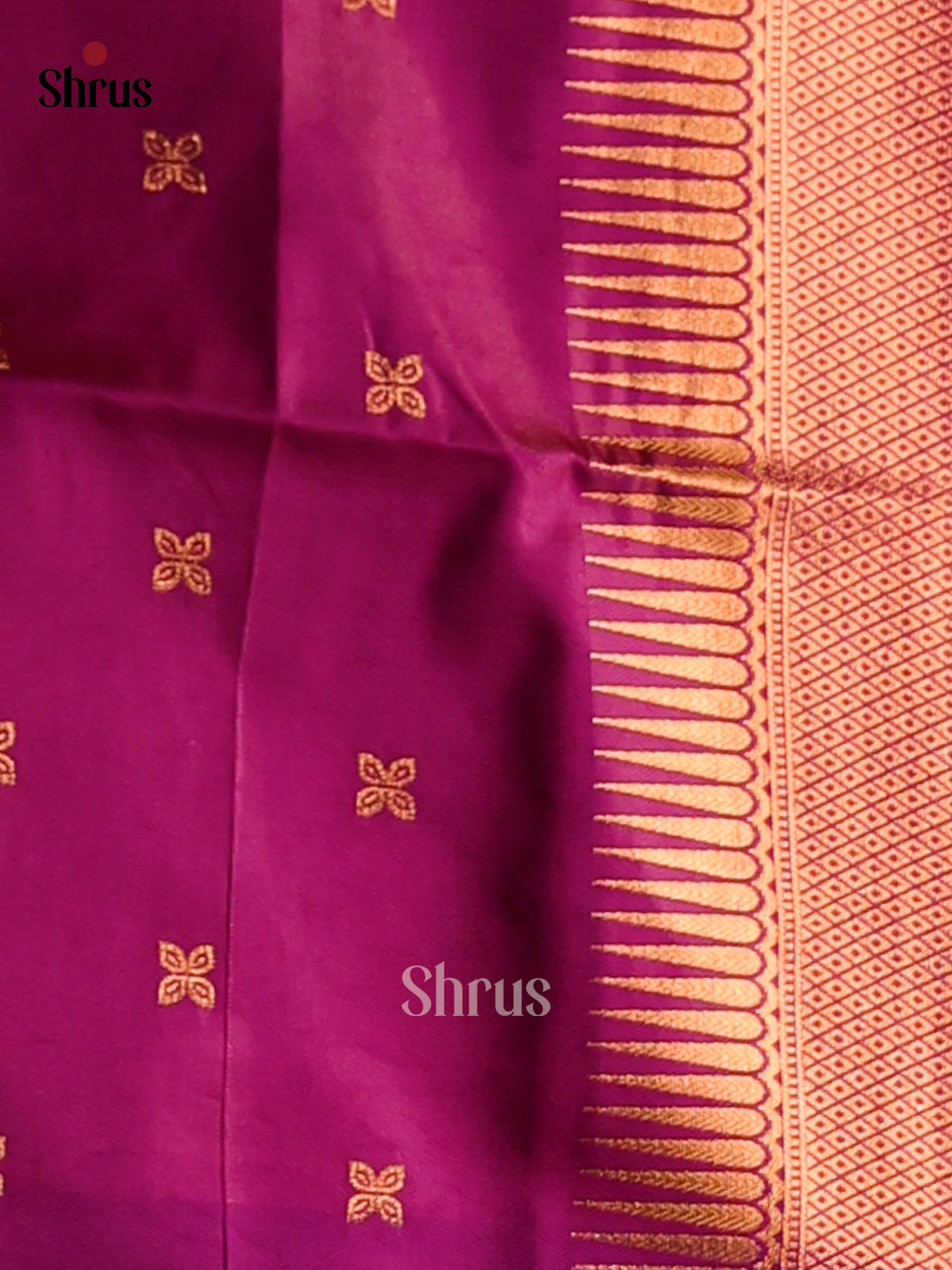 Orangish Pink & Purple  - Semi Softsilk Saree - Shop on Shrus.com