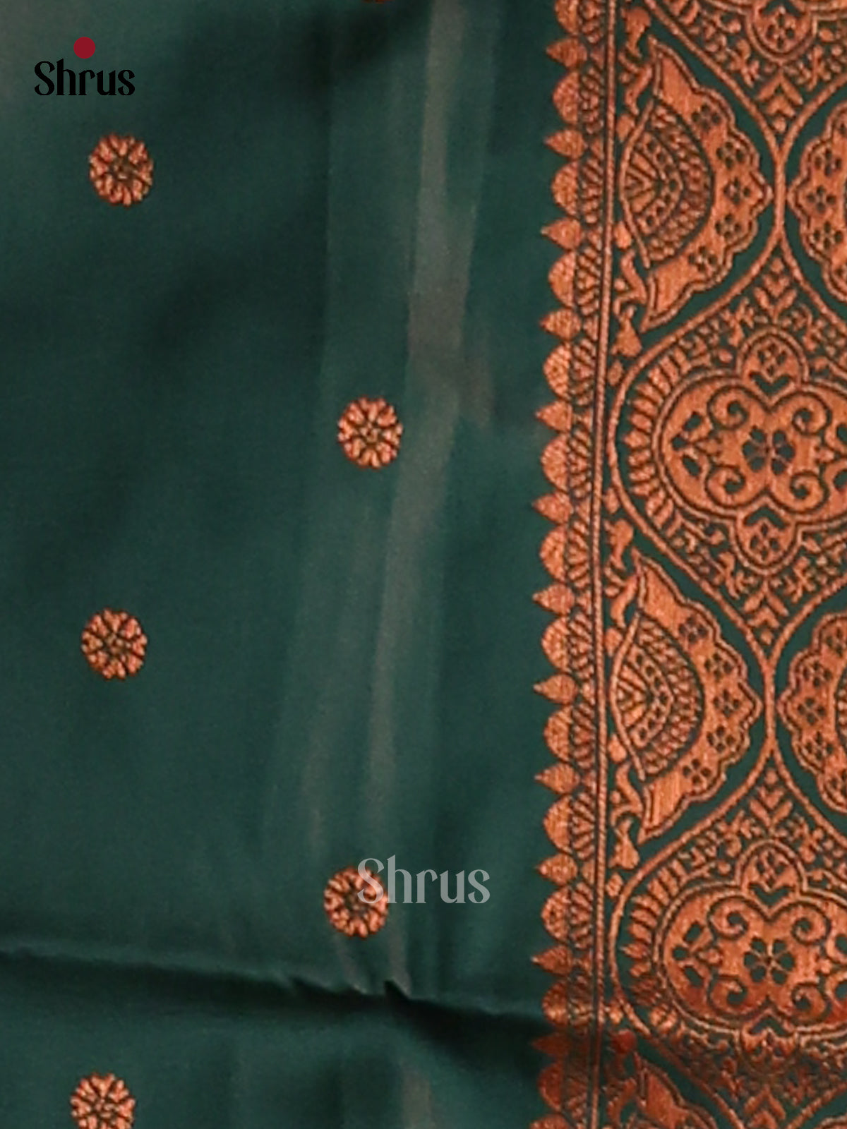 Brown & Green - Semi Softsilk Saree - Shop on Shrus.com