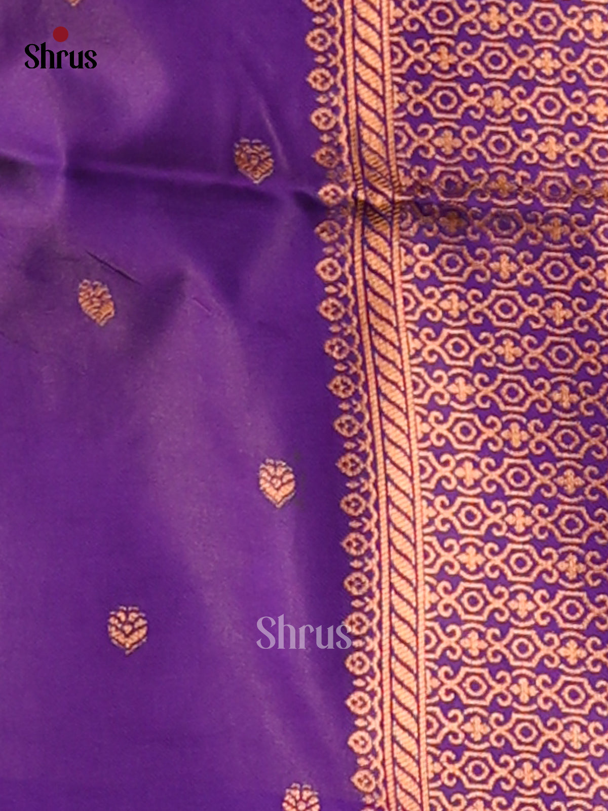 Purple & Violet - Semi Softsilk Saree - Shop on Shrus.com