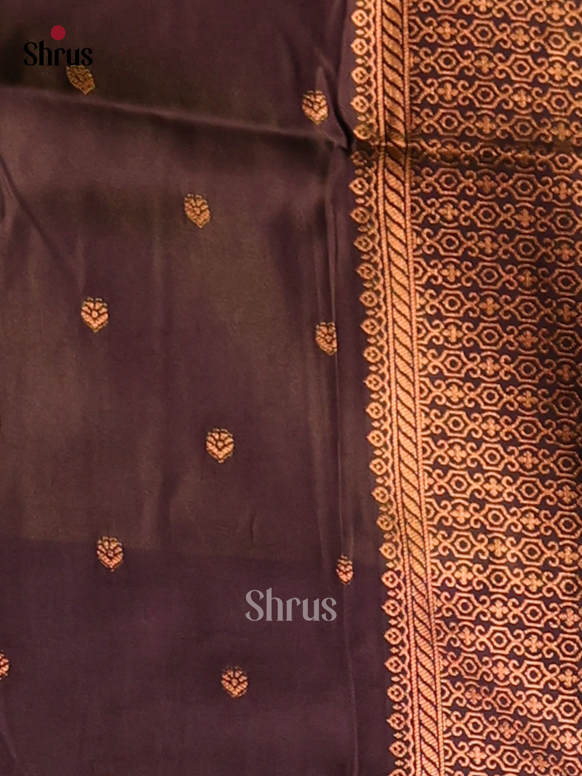 Light Green & Brown - Semi Softsilk Saree - Shop on Shrus.com