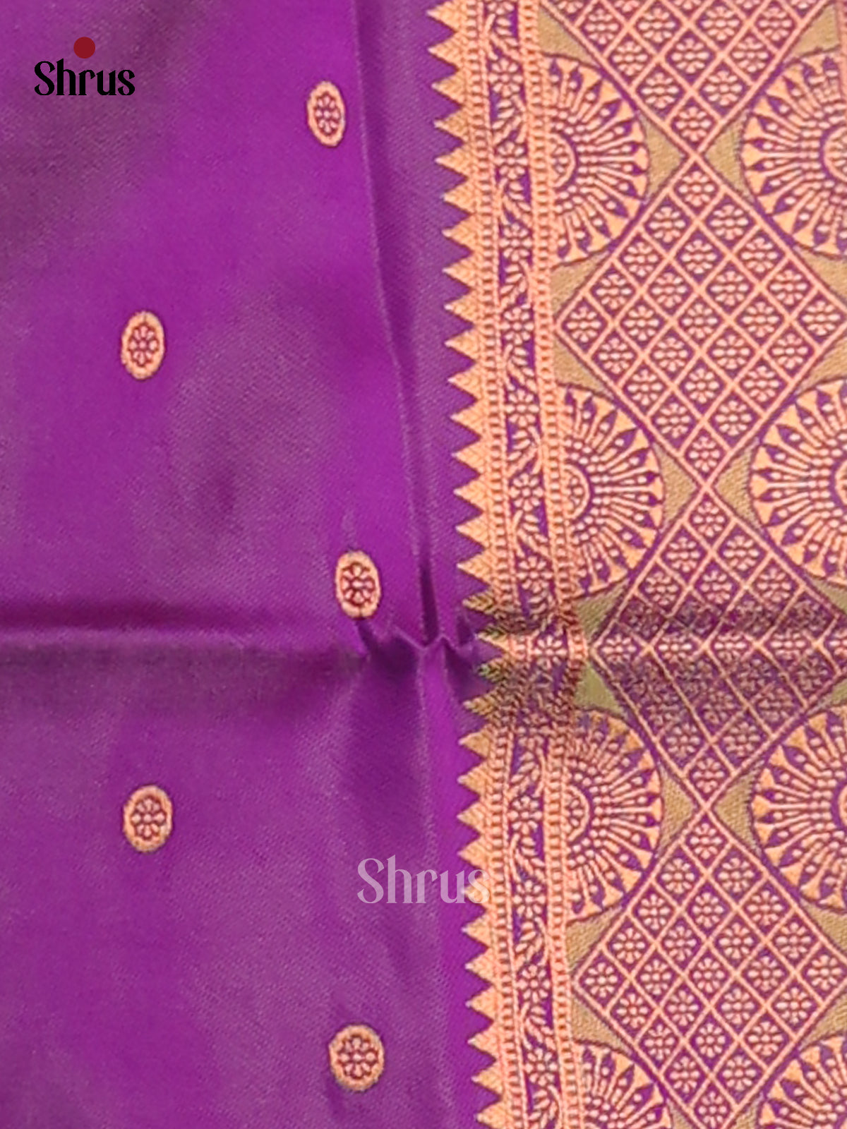 Blue & Purple - Semi Softsilk Saree - Shop on Shrus.com