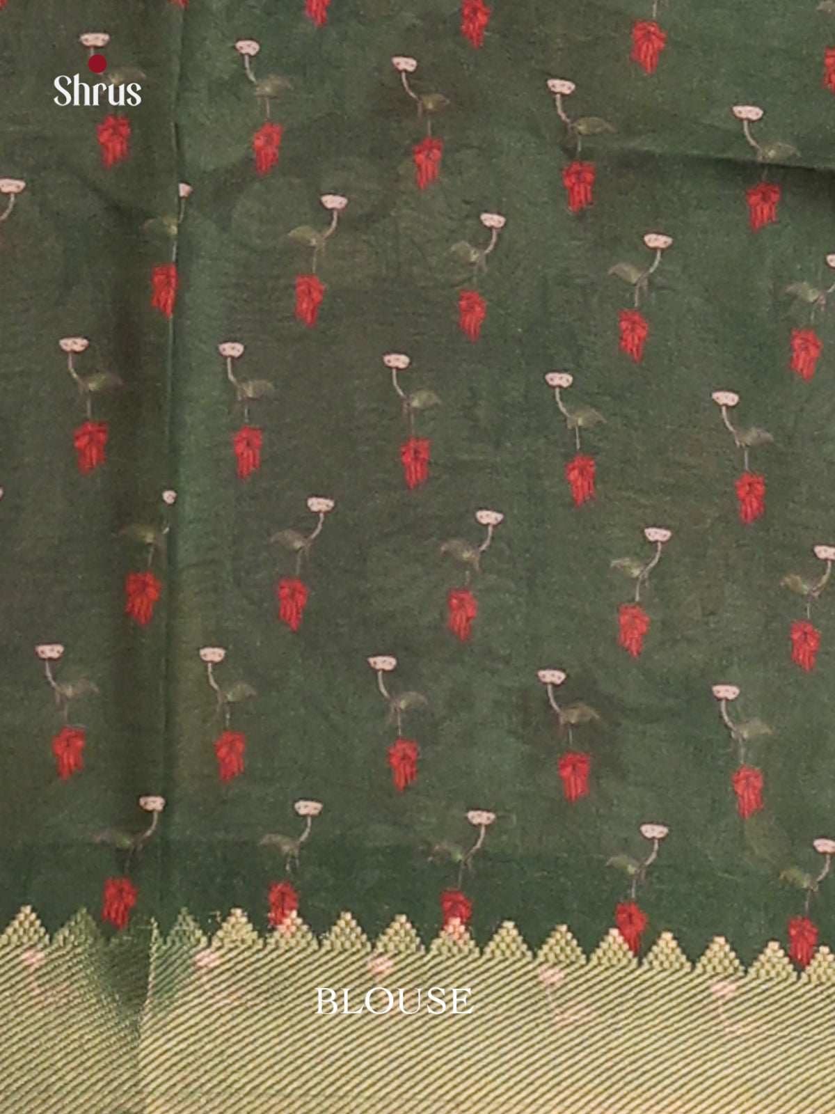 Green & Cream- Semi Dola silk Saree - Shop on Shrus.com