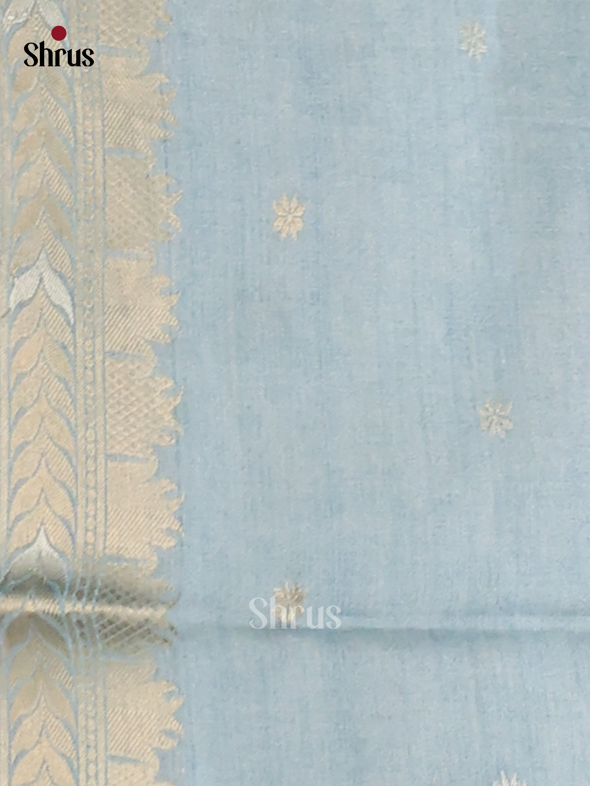 Chikoo & Blue - Semi Tussar Saree