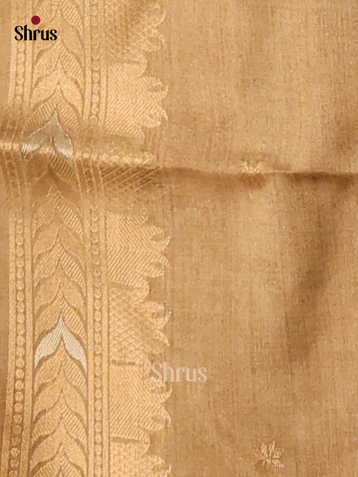 Blue & Gold - Semi Tussar Saree