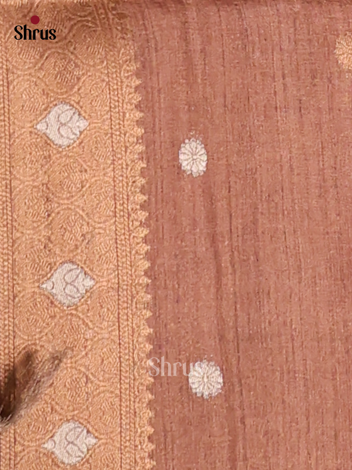 DFS06734 - Semi Tussar Saree - Shop on Shrus.com